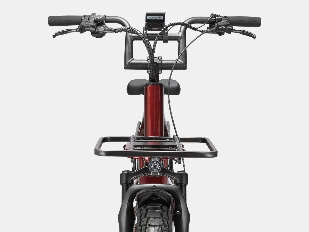 AMZcycle Wildlife Electric Cargo Bike - Rouge Nebula lifestyle
