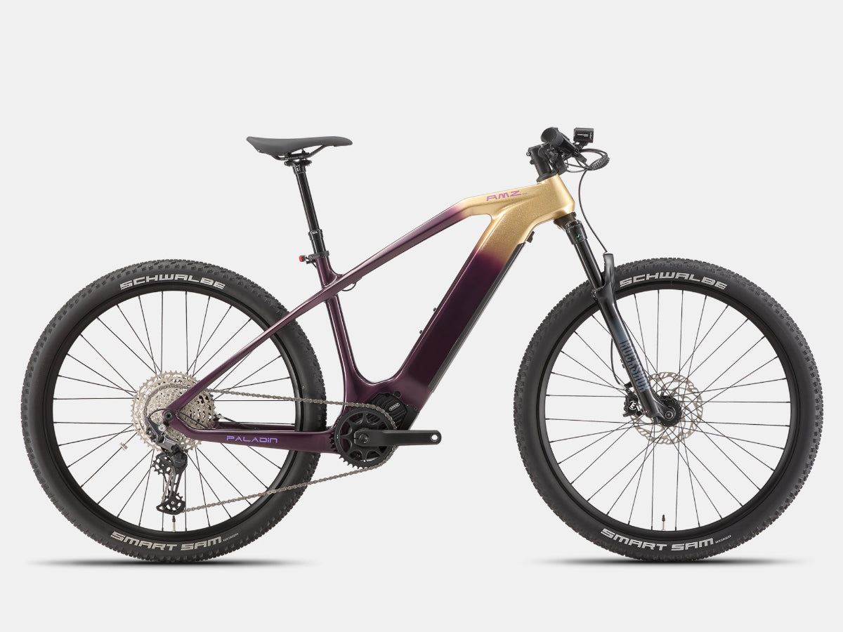 AMZcycle Paladin Electric XC Mountain Bike - Gloam Gold