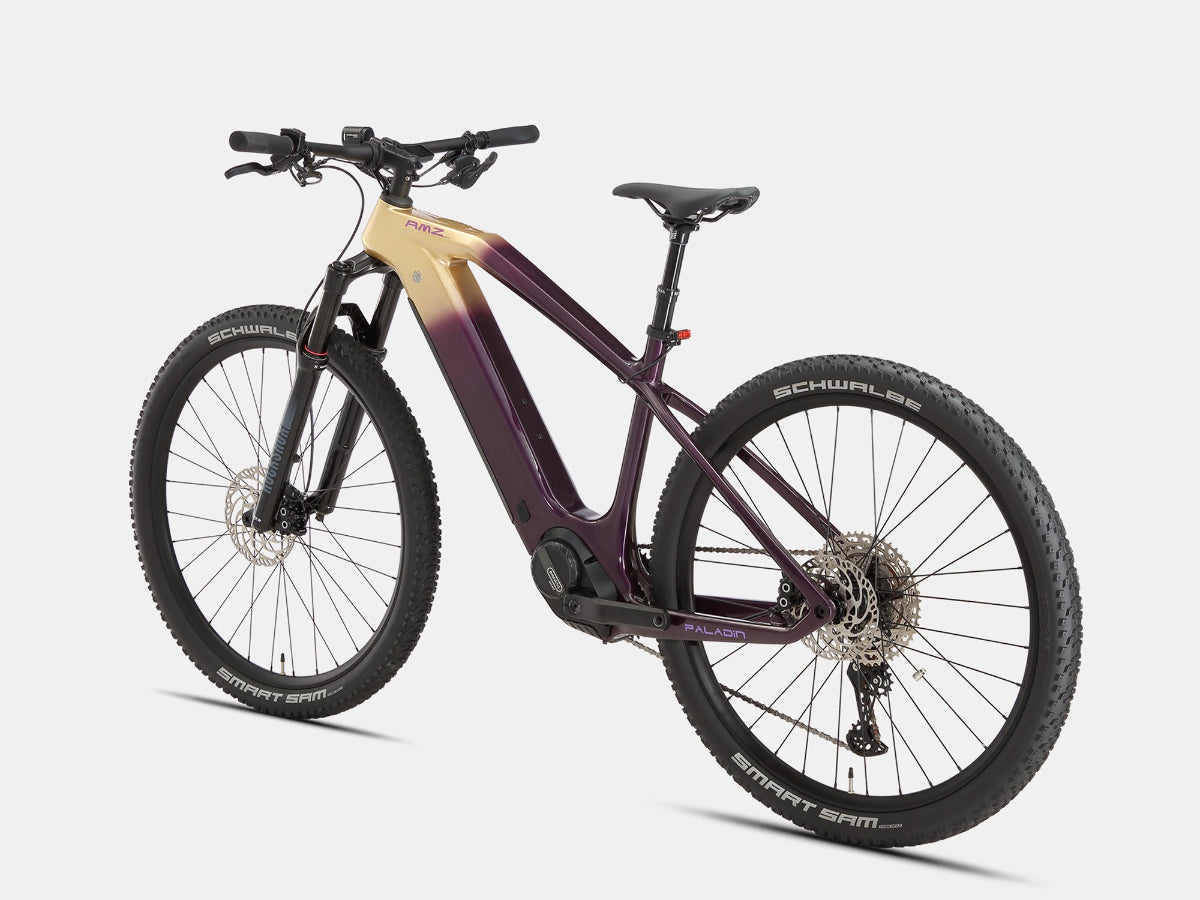 AMZcycle Paladin Electric XC Mountain Bike - Gloam Gold detail