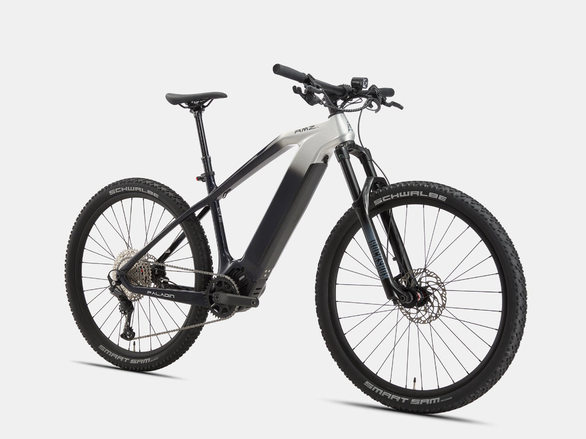 AMZcycle Paladin Electric XC Mountain Bike - Dawn Silver side view