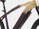 AMZcycle Paladin Electric XC Mountain Bike - Gloam Gold brakes