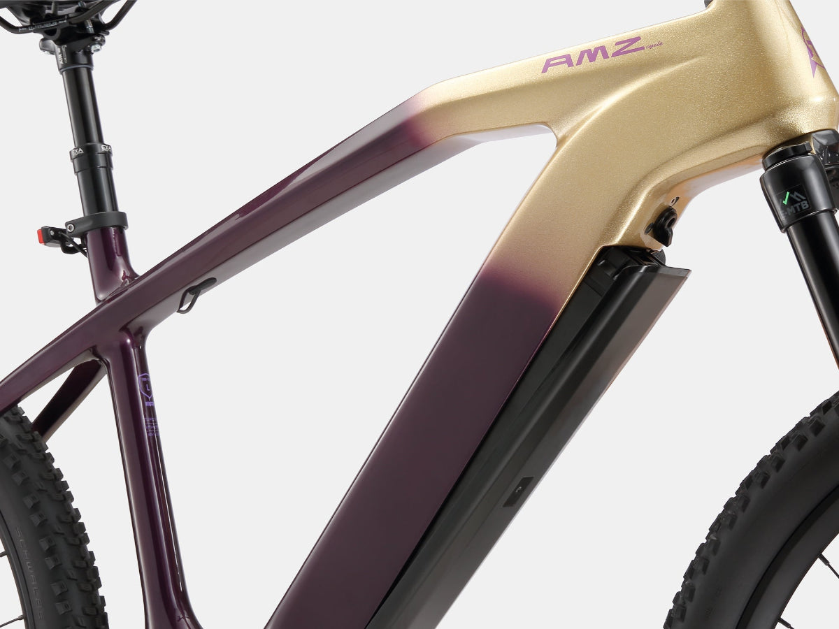 AMZcycle Paladin Electric XC Mountain Bike - Gloam Gold brakes